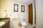 Master suite private bathroom with shower, toilet and sink